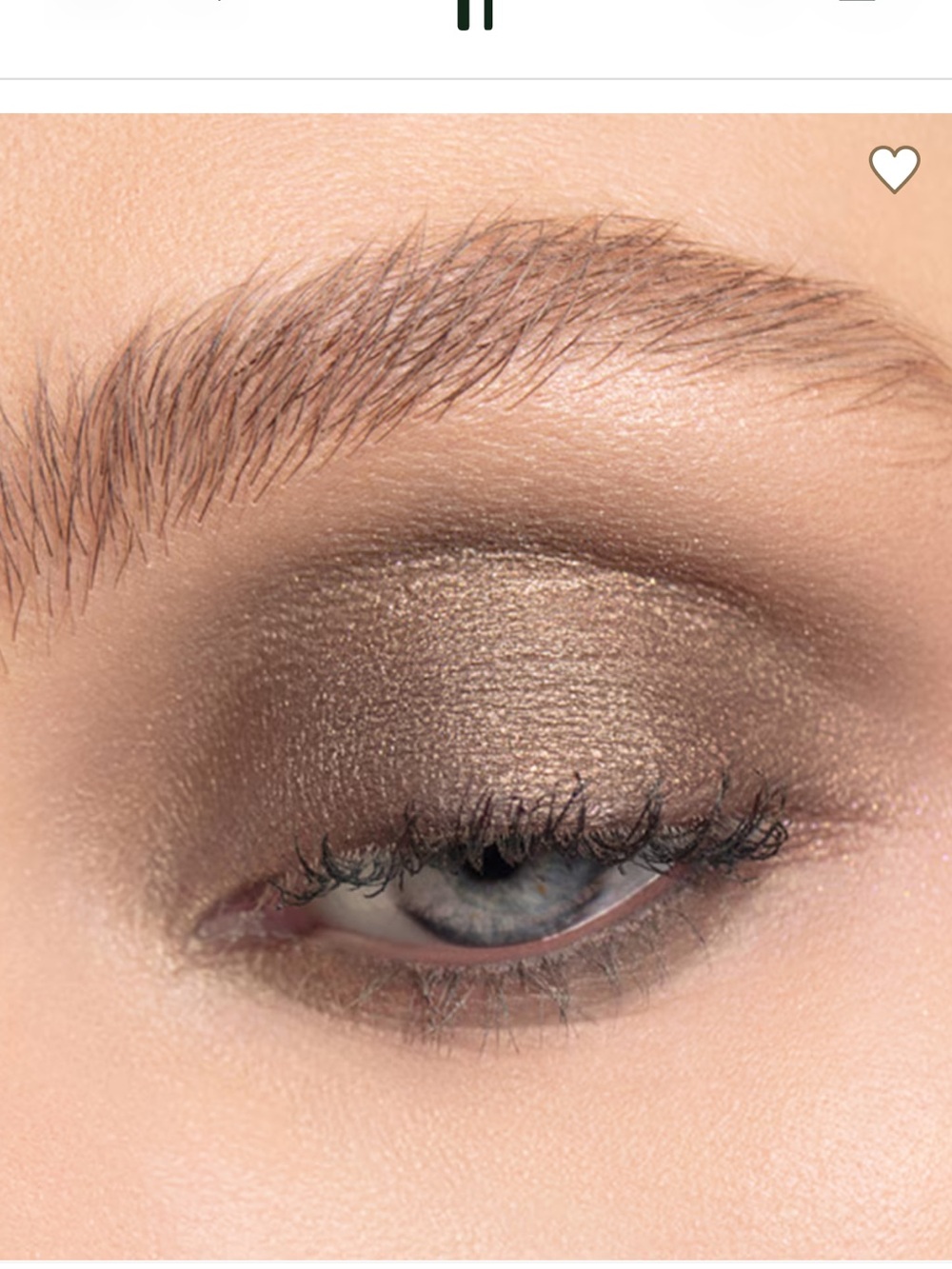 Chantecaille Luminescent Eye Shadow - Elephant - Picture 2 of 2